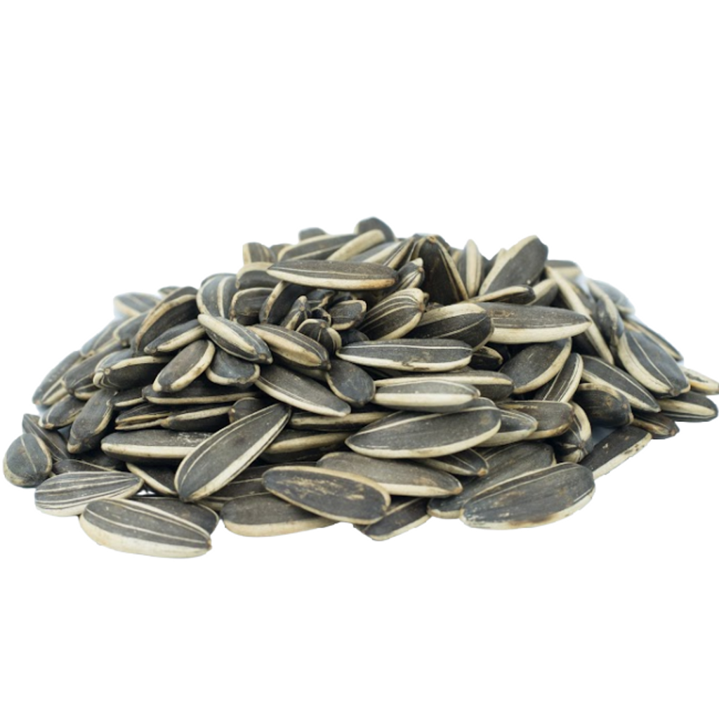 Sunflower Seeds Raw in Shell 50lbs