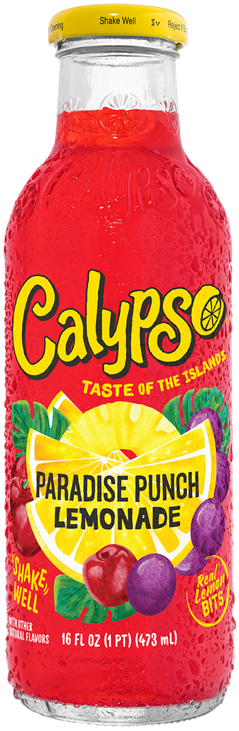 Calypso Paradise Punch Lemonade 12ct 16oz