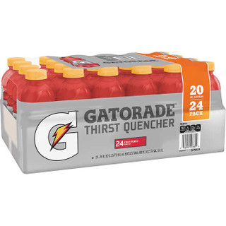 [33487] Gatorade Thirst Quencher Fruit Punch 24ct 20oz