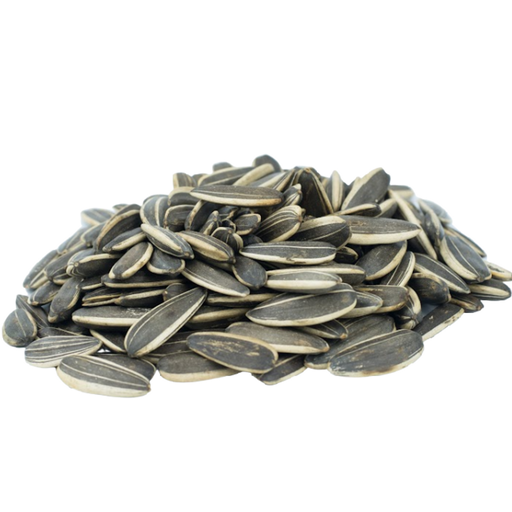 [53771] Sunflower Seeds Raw in Shell 50lbs