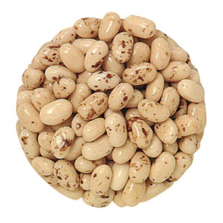 [55138] Jelly Belly Toasted Marshmallow 10 lb Bulk